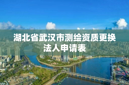 湖北省武汉市测绘资质更换法人申请表