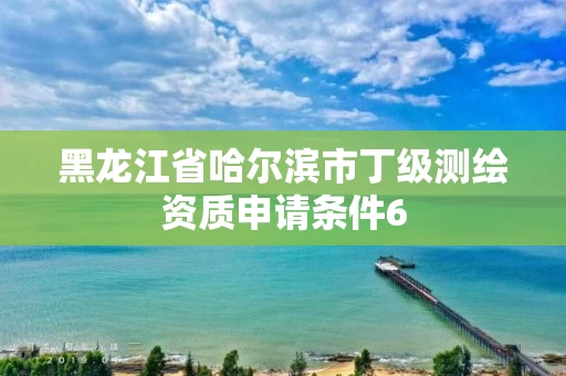 黑龙江省哈尔滨市丁级测绘资质申请条件6