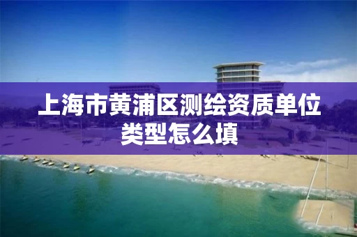 上海市黄浦区测绘资质单位类型怎么填