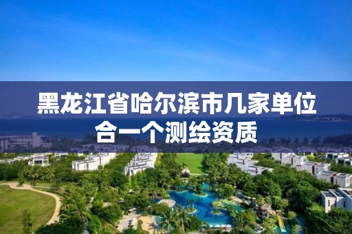 黑龙江省哈尔滨市几家单位合一个测绘资质