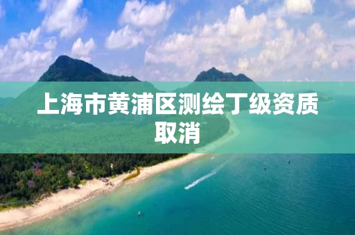 上海市黄浦区测绘丁级资质取消 上海市黄浦区测绘丁级资质取消