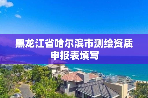 黑龙江省哈尔滨市测绘资质申报表填写