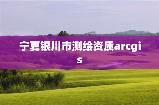 宁夏银川市测绘资质arcgis