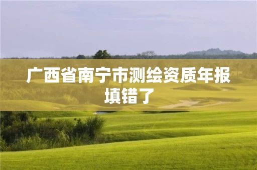 广西省南宁市测绘资质年报填错了