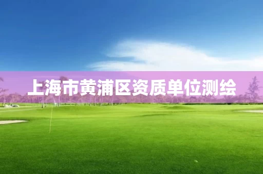 上海市黄浦区资质单位测绘