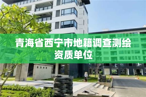 青海省西宁市地籍调查测绘资质单位