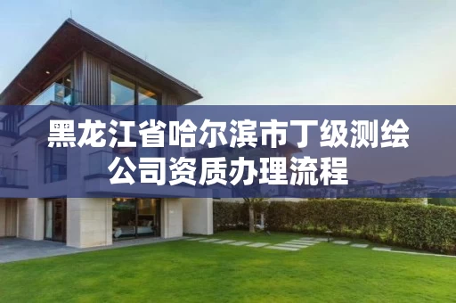 黑龙江省哈尔滨市丁级测绘公司资质办理流程