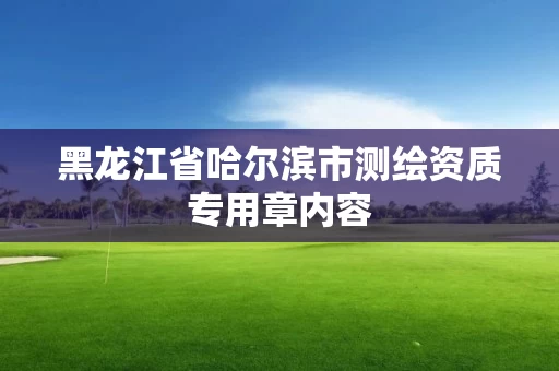 黑龙江省哈尔滨市测绘资质专用章内容