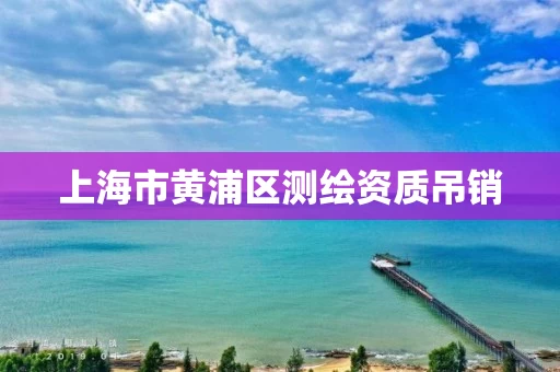 上海市黄浦区测绘资质吊销