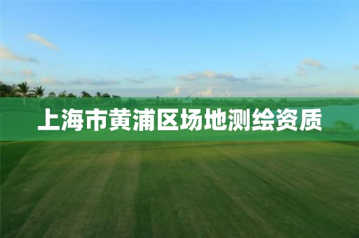 上海市黄浦区场地测绘资质