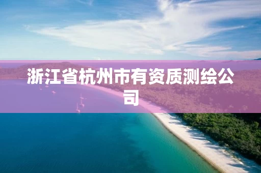 浙江省杭州市有资质测绘公司