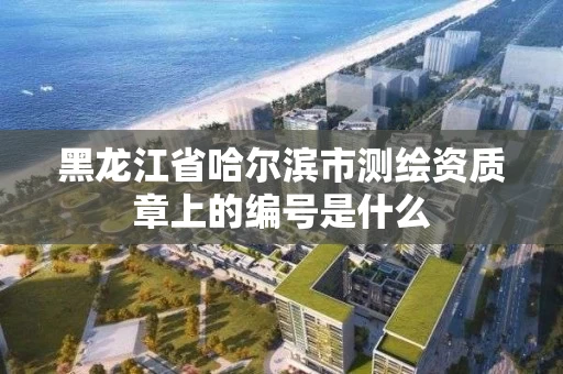 黑龙江省哈尔滨市测绘资质章上的编号是什么