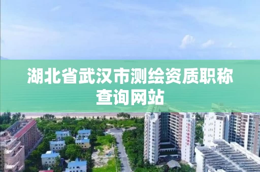 湖北省武汉市测绘资质职称查询网站