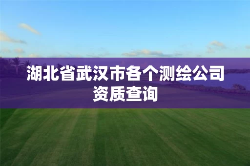 湖北省武汉市各个测绘公司资质查询