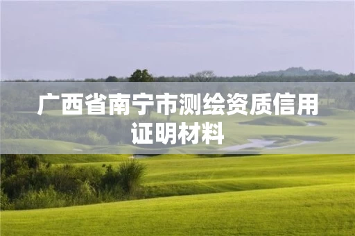 广西省南宁市测绘资质信用证明材料