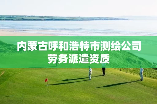 内蒙古呼和浩特市测绘公司劳务派遣资质