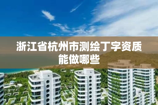 浙江省杭州市测绘丁字资质能做哪些