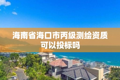 海南省海口市丙级测绘资质可以投标吗