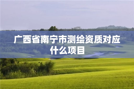 广西省南宁市测绘资质对应什么项目