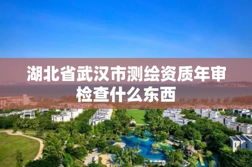 湖北省武汉市测绘资质年审检查什么东西