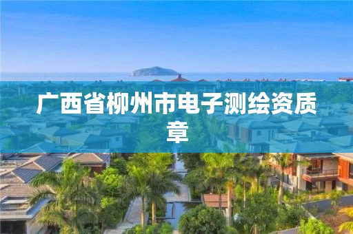 广西省柳州市电子测绘资质章