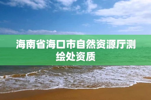 海南省海口市自然资源厅测绘处资质
