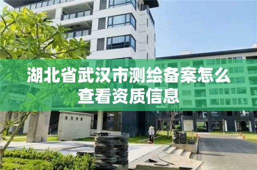 湖北省武汉市测绘备案怎么查看资质信息