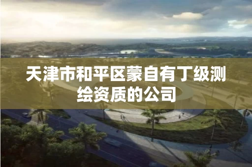 天津市和平区蒙自有丁级测绘资质的公司