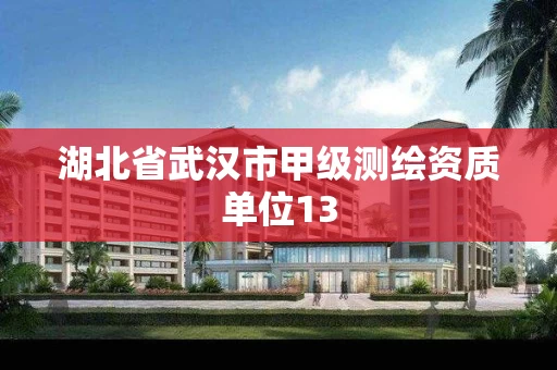 湖北省武汉市甲级测绘资质单位13