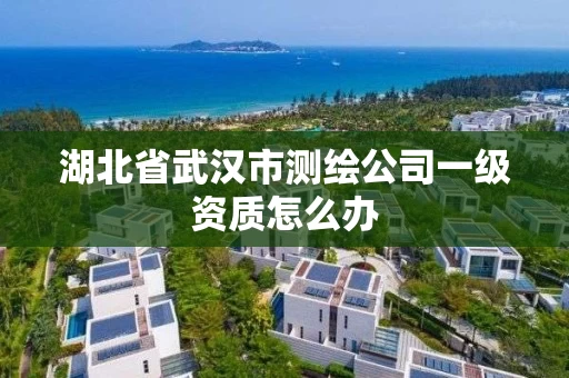 湖北省武汉市测绘公司一级资质怎么办