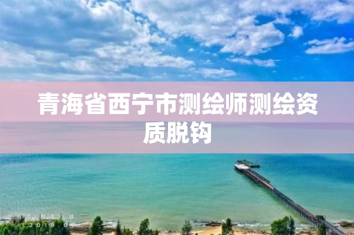 青海省西宁市测绘师测绘资质脱钩