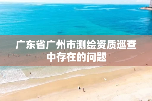 广东省广州市测绘资质巡查中存在的问题