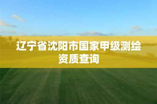辽宁省沈阳市国家甲级测绘资质查询