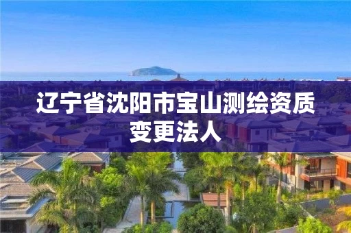 辽宁省沈阳市宝山测绘资质变更法人