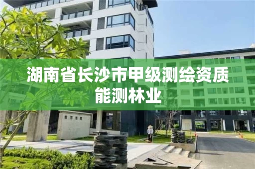 湖南省长沙市甲级测绘资质能测林业