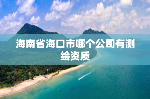 海南省海口市哪个公司有测绘资质