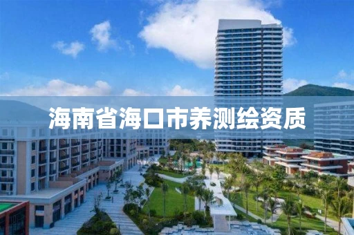 海南省海口市养测绘资质