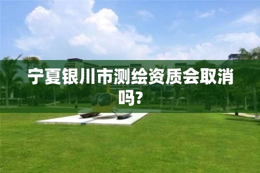 宁夏银川市测绘资质会取消吗?