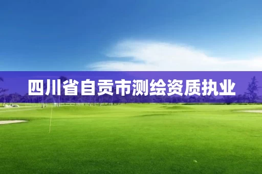 四川省自贡市测绘资质执业