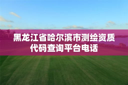 黑龙江省哈尔滨市测绘资质代码查询平台电话