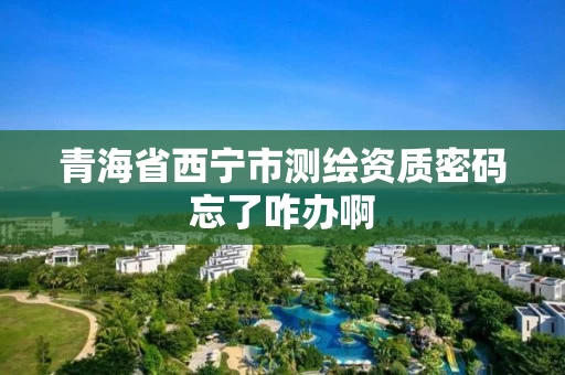 青海省西宁市测绘资质密码忘了咋办啊 青海省西宁市测绘资质密码忘了咋办啊