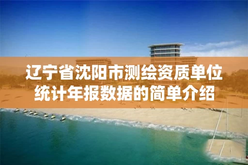 辽宁省沈阳市测绘资质单位统计年报数据的简单介绍
