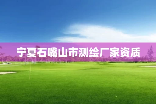 宁夏石嘴山市测绘厂家资质