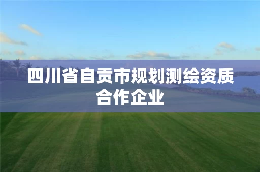 四川省自贡市规划测绘资质合作企业