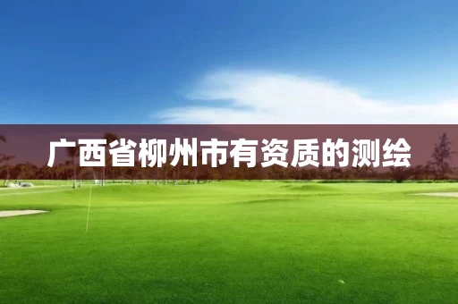 广西省柳州市有资质的测绘