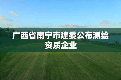 广西省南宁市建委公布测绘资质企业 广西省南宁市建委公布测绘资质企业