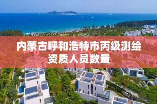 内蒙古呼和浩特市丙级测绘资质人员数量 内蒙古呼和浩特市丙级测绘资质人员数量