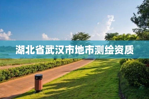 湖北省武汉市地市测绘资质