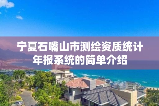 宁夏石嘴山市测绘资质统计年报系统的简单介绍