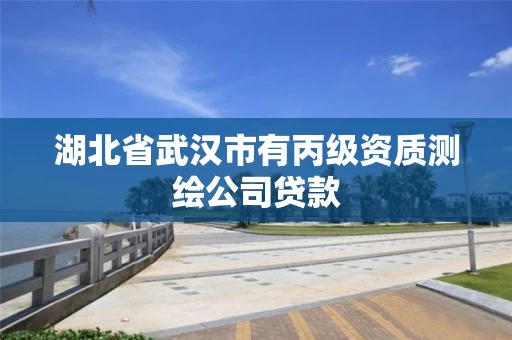 湖北省武汉市有丙级资质测绘公司贷款